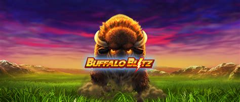 Buffalo Blitz .